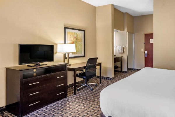 Comfort Suites image 19
