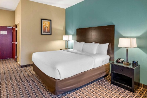 Comfort Suites image 8